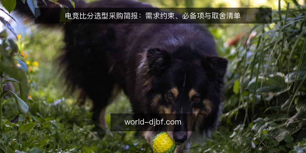 电竞比分选型采购简报:需求约束、必备项与取舍清单 — 先定义需求边界:你要解决的是哪类看分问题 配图